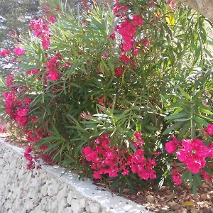  Appartement Cala Galdana Beach