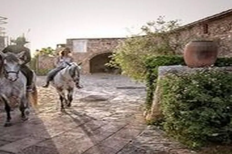 Casa rural Hostal Sa Bassa Rotja Ecoturisme Porreras España